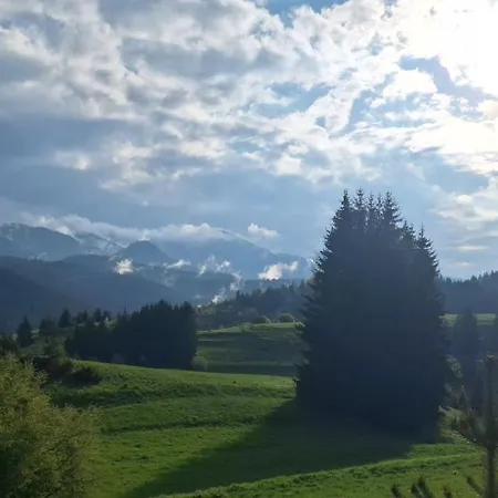 View Stoykite