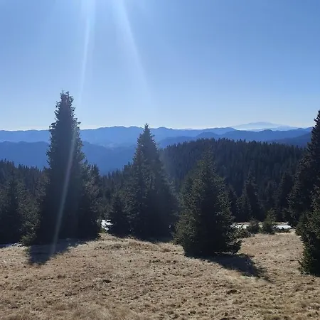 View Apartamento Stoykite