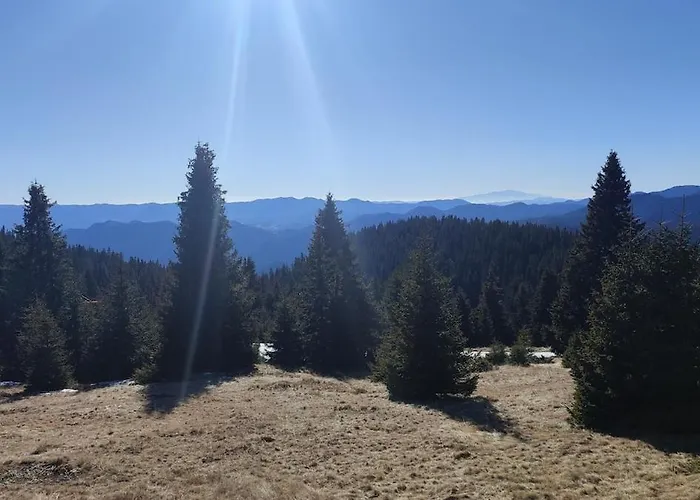 View Apartment Stoykite